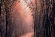 TK体育：[NBA]莫布里17分8篮板 骑士客场大胜魔术.