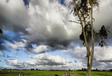 裁识过人丨快速追分因为裁判？上海男篮VS北京男篮第三节判罚复盘.