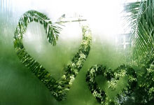 TK体育：杨毅：放在火箭队里 杜兰特没范乔丹强 范乔丹对火箭太重要了.