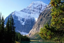 矢志不渝做党和人民的忠诚卫士——写在第五个中国人民警察节到来之际.